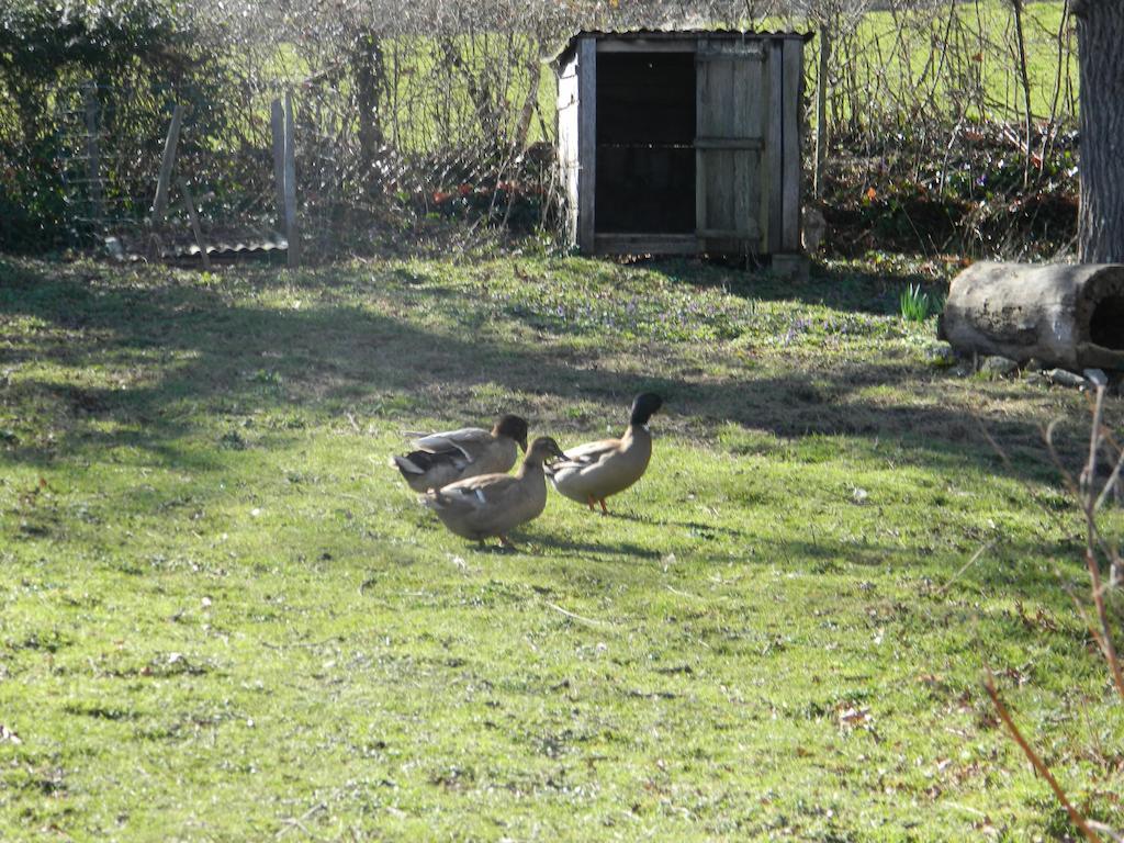 Meubles De Tourisme La Reserve Saint-Pierre-les-Bois エクステリア 写真