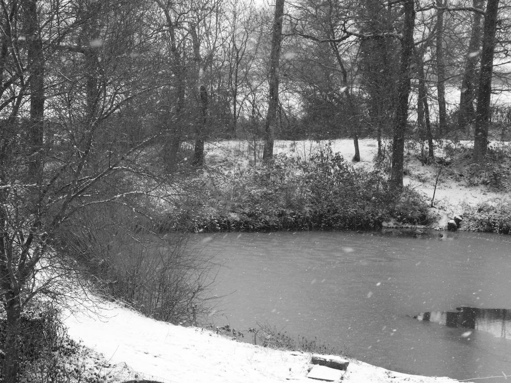 Meubles De Tourisme La Reserve Saint-Pierre-les-Bois エクステリア 写真